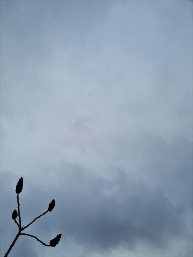 Standing Strong