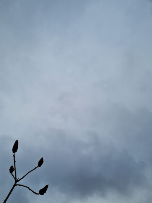 Standing Strong